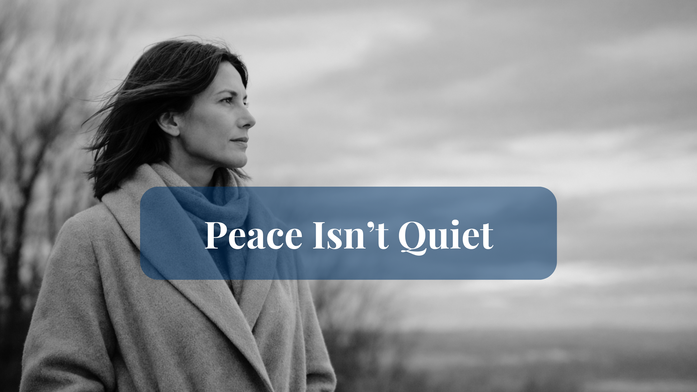 banner to represent authorship