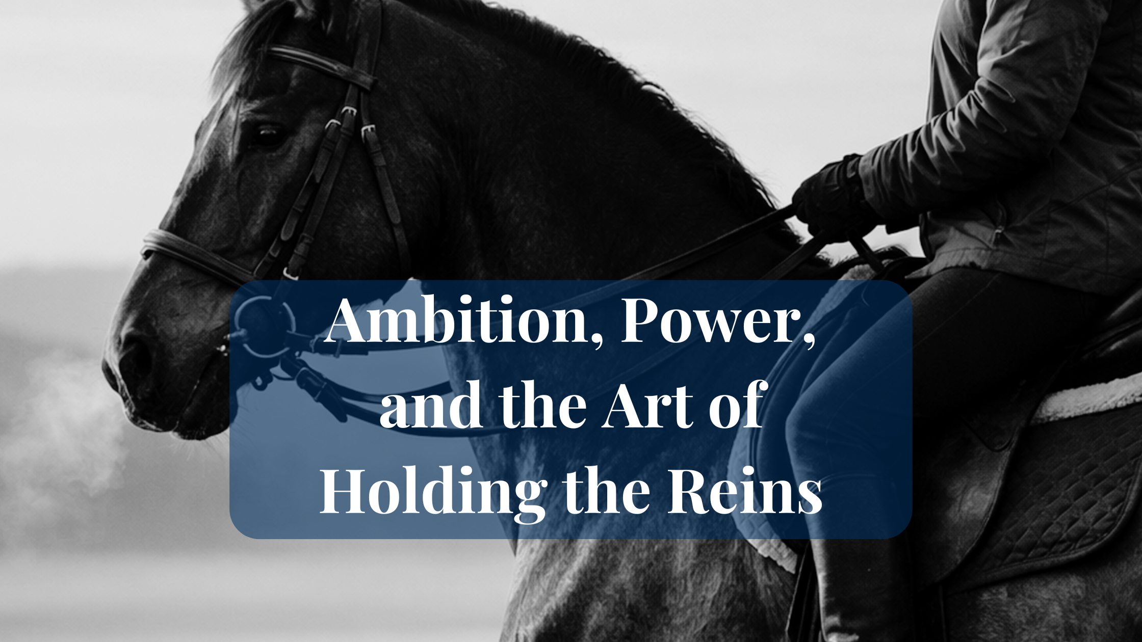 banner to represent authorship